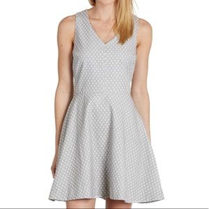 Joie Gray Norton Dress